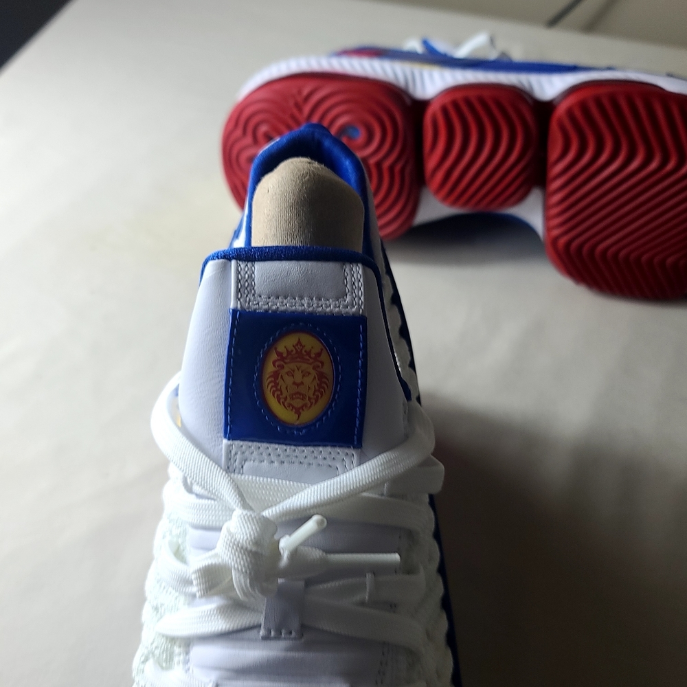 Lebron 16 "SuperBron"